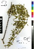  ( - JSB-0606)  @11 [ ] CreativeCommons - Attribution Non-Commercial Share-Alike (2012) Mamadi Theresa Sethusa University of Johannesburg