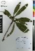  ( - MEK077)  @11 [ ] CreativeCommons - Attribution Non-Commercial Share-Alike (2012) Mamadi Theresa Sethusa University of Johannesburg