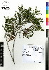  ( - MTJ-0065)  @11 [ ] CreativeCommons - Attribution Non-Commercial Share-Alike (2012) Mamadi Theresa Sethusa University of Johannesburg