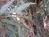  ( - PPRI-0044)  @11 [ ] CreativeCommons - Attribution Non-Commercial Share-Alike (2012) Mamadi Theresa Sethusa University of Johannesburg