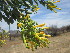  ( - PPRI-0073)  @11 [ ] CreativeCommons - Attribution Non-Commercial Share-Alike (2012) Mamadi Theresa Sethusa University of Johannesburg