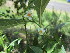  ( - PPRI-0135)  @11 [ ] CreativeCommons - Attribution Non-Commercial Share-Alike (2012) Mamadi Theresa Sethusa University of Johannesburg