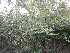  ( - PPRI-0160)  @11 [ ] CreativeCommons - Attribution Non-Commercial Share-Alike (2012) Mamadi Theresa Sethusa University of Johannesburg