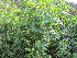  ( - PPRI-0200)  @11 [ ] CreativeCommons - Attribution Non-Commercial Share-Alike (2012) Mamadi Theresa Sethusa University of Johannesburg
