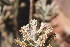  ( - PR927)  @11 [ ] No Rights Reserved  Unspecified Unspecified