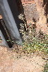  ( - PR927)  @11 [ ] No Rights Reserved  Unspecified Unspecified