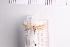  (Caloptilia rhois - SDNU-INS-05107)  @11 [ ] CreativeCommons - Attribution Non-Commercial Share-Alike (2021) Tengteng Liu Shandong Normal University