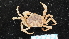  ( - NIWA_141656.2)  @11 [ ] CreativeCommons - Attribution Share-Alike (2025) Unspecified Universite de Bourgogne, Biogeosciences