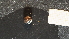  ( - NZ24_DUN_MID_Q7.1_GAS_V)  @11 [ ] CreativeCommons - Attribution Share-Alike (2025) Unspecified Universite de Bourgogne, Biogeosciences