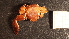  ( - NZ24_STEW_MID_Q2.1_ANO_A)  @11 [ ] CreativeCommons - Attribution Share-Alike (2025) Unspecified Universite de Bourgogne, Biogeosciences