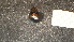  ( - NZ24_STEW_MID_Q3.6_GAS_V)  @11 [ ] CreativeCommons - Attribution Share-Alike (2025) Unspecified Universite de Bourgogne, Biogeosciences