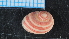  ( - UOTA-HC-AI-12)  @11 [ ] CreativeCommons - Attribution Share-Alike (2025) Unspecified Universite de Bourgogne, Biogeosciences