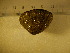 ( - CNP-INV 221)  @12 [ ] Copyright (2013) Unspecified CENPAT