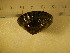  ( - CNP-INV 219)  @12 [ ] Copyright (2013) Unspecified CENPAT