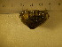  ( - CNP-INV 220)  @11 [ ] Copyright (2013) Unspecified CENPAT