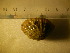  ( - CNP-INV 217)  @12 [ ] Copyright (2013) Unspecified CENPAT