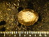 ( - CNP-INV 714)  @13 [ ] Copyright (2013) Unspecified CENPAT