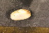  ( - CNP-INV-1533)  @11 [ ] Copyright (2013) Unspecified CENPAT