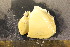  ( - CNP-INV-1548)  @11 [ ] Copyright (2013) Unspecified CENPAT
