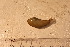  ( - cnp-inv 1821)  @11 [ ] Copyright (2014) Unspecified CENPAT