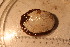  ( - cnp-inv 1825)  @11 [ ] Copyright (2014) Unspecified CENPAT