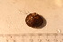  ( - cnp-inv 1829)  @11 [ ] Copyright (2014) Unspecified CENPAT