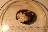 ( - cnp-inv 1830)  @11 [ ] Copyright (2014) Unspecified CENPAT