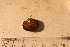  ( - cnp-inv 1853)  @11 [ ] Copyright (2014) Unspecified CENPAT