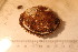  ( - cnp-inv 1864)  @11 [ ] Copyright (2014) Unspecified CENPAT
