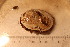  ( - cnp-inv 1866)  @11 [ ] Copyright (2014) Unspecified CENPAT