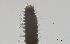  ( - BGE_00650_A04)  @11 [ ] CreativeCommons Attribution Non-Commercial (2024) Stefania Klayn Bulgarian Academy of Sciences, Institute of Biodiversity and Ecosystem Research