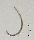  ( - BGE_00627_E02)  @11 [ ] CreativeCommons - Attribution Share - Alike (2025) Unspecified Unspecified