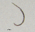  ( - BGE_00627_E02)  @11 [ ] CreativeCommons - Attribution Share - Alike (2025) Unspecified Unspecified