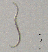  ( - BGE_00627_F12)  @11 [ ] CreativeCommons - Attribution Share - Alike (2025) Unspecified Unspecified