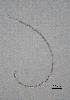  ( - BGE_00627_G04)  @11 [ ] CreativeCommons - Attribution Share - Alike (2025) Unspecified Unspecified
