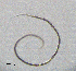  ( - BGE_00627_G05)  @11 [ ] CreativeCommons - Attribution Share - Alike (2025) Unspecified Unspecified
