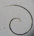  ( - BGE_00627_G06)  @11 [ ] CreativeCommons - Attribution Share - Alike (2025) Unspecified Unspecified