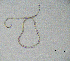  ( - BGE_00627_H06)  @11 [ ] CreativeCommons - Attribution Share - Alike (2040) Unspecified Unspecified