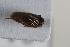  (Malenia - BGE_00631_C04)  @11 [ ] CreativeCommons - Attribution Share - Alike (2025) Unspecified Unspecified