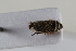  ( - BGE_00631_C08)  @11 [ ] CreativeCommons - Attribution Share - Alike (2025) Unspecified Unspecified
