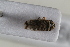  ( - BGE_00631_C09)  @11 [ ] CreativeCommons - Attribution Share - Alike (2025) Unspecified Unspecified