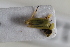  ( - BGE_00631_C12)  @11 [ ] CreativeCommons - Attribution Share - Alike (2025) Unspecified Unspecified