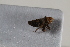  ( - BGE_00631_D05)  @11 [ ] CreativeCommons - Attribution Share - Alike (2025) Unspecified Unspecified