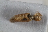 ( - BGE_00631_D12)  @11 [ ] CreativeCommons - Attribution Share - Alike (2025) Unspecified Unspecified
