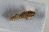  ( - BGE_00631_E05)  @11 [ ] CreativeCommons - Attribution Share - Alike (2025) Unspecified Unspecified