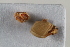 (Acrestia - BGE_00631_E10)  @11 [ ] CreativeCommons - Attribution Share - Alike (2025) Unspecified Unspecified