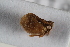  ( - BGE_00631_E11)  @11 [ ] CreativeCommons - Attribution Share - Alike (2025) Unspecified Unspecified