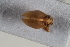  ( - BGE_00631_E12)  @11 [ ] CreativeCommons - Attribution Share - Alike (2025) Unspecified Unspecified