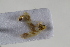  ( - BGE_00631_F04)  @11 [ ] CreativeCommons - Attribution Share - Alike (2025) Unspecified Unspecified