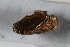  ( - BGE_00631_G08)  @11 [ ] CreativeCommons - Attribution Share - Alike (2025) Unspecified Unspecified